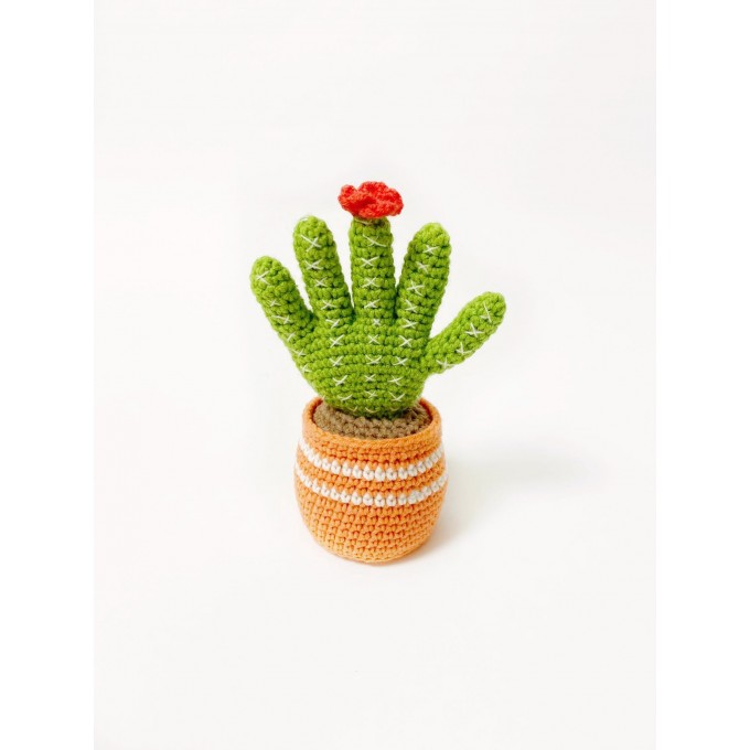 decor soft cactus