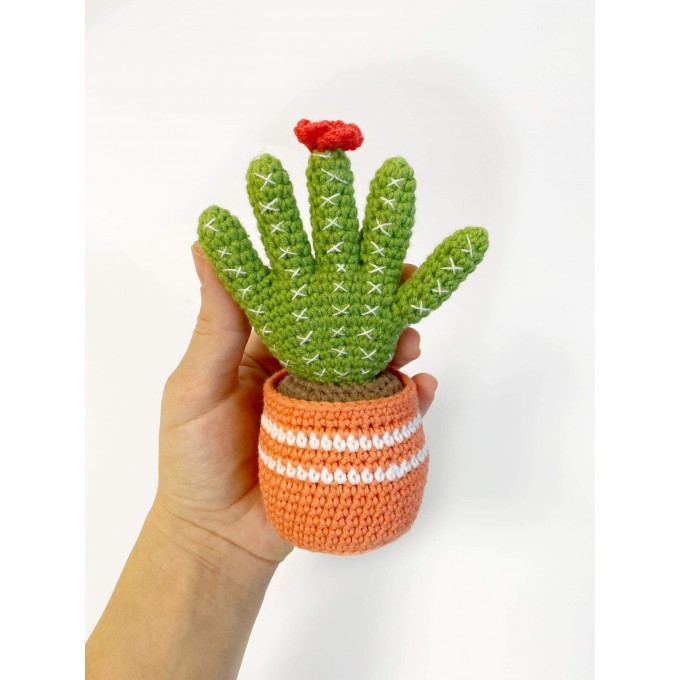 cute cactus with fingers
