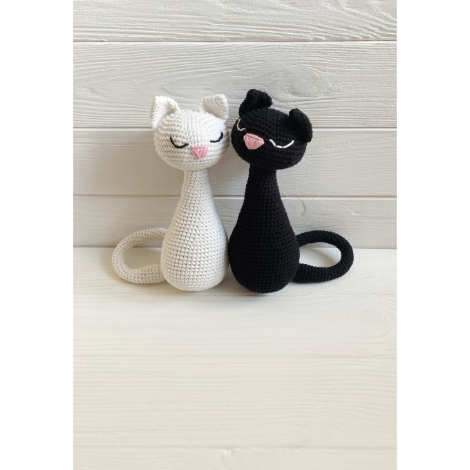 white and black cat