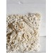 Coral reef pillow milk