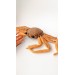 Stuffed dungeness crab toy