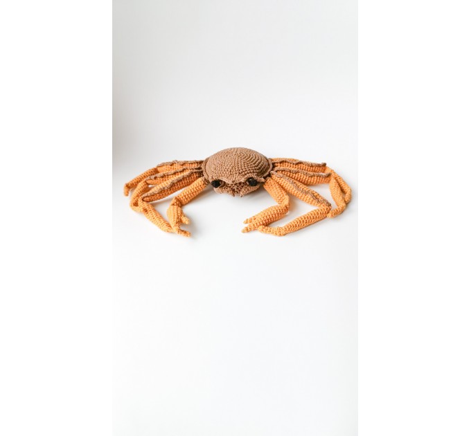 Stuffed dungeness crab toy
