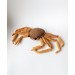 Stuffed dungeness crab toy