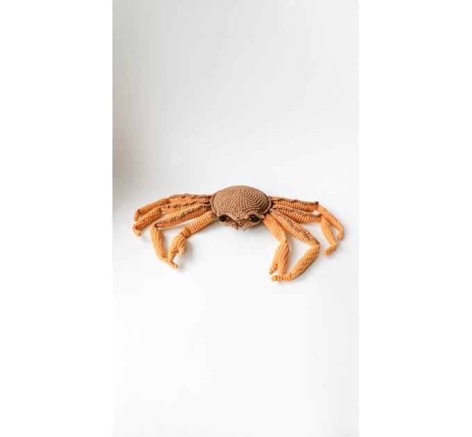 Stuffed dungeness crab toy