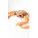 Stuffed dungeness crab toy