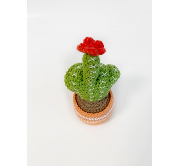 Cactus with posable fingers