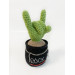 Cactus with rock fingers