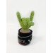 Cactus with rock fingers