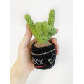 Cactus with rock fingers