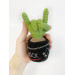 Cactus with rock fingers