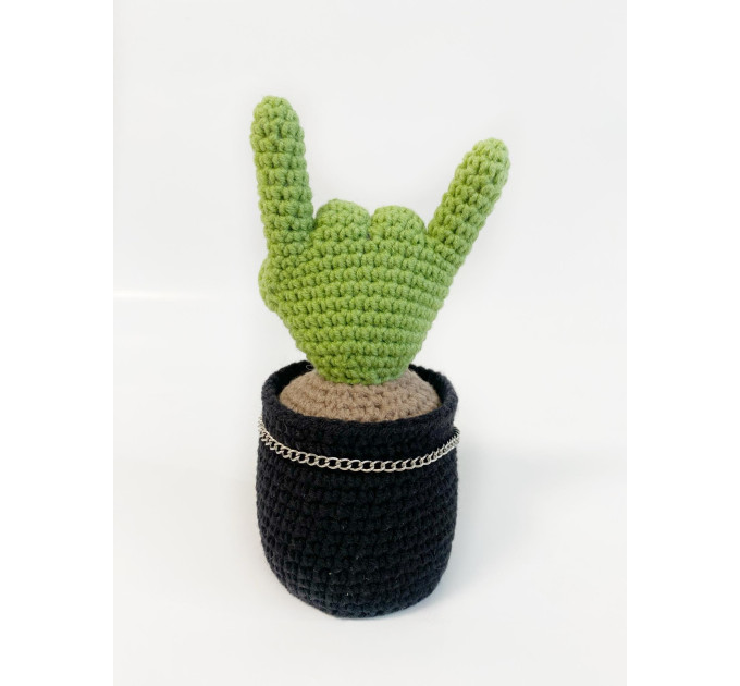 Cactus with rock fingers