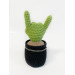 Cactus with rock fingers