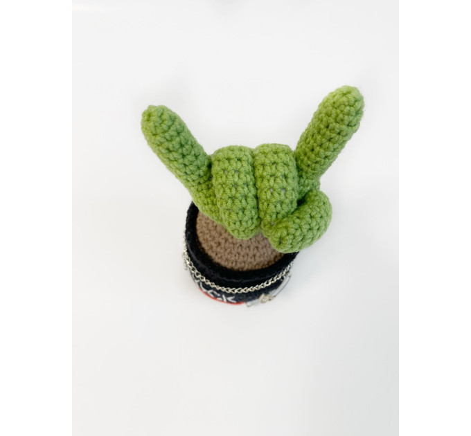 Cactus with rock fingers