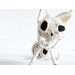 Crochet Cat Skeleton – Handmade Gothic Cat Plush