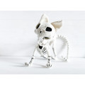 Crochet Cat Skeleton – Handmade Gothic Cat Plush