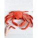 Large snow crab toy plush