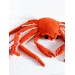 Large snow crab toy plush