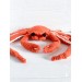 Large snow crab toy plush