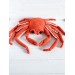Large snow crab toy plush
