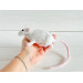 Plush rat with nuts