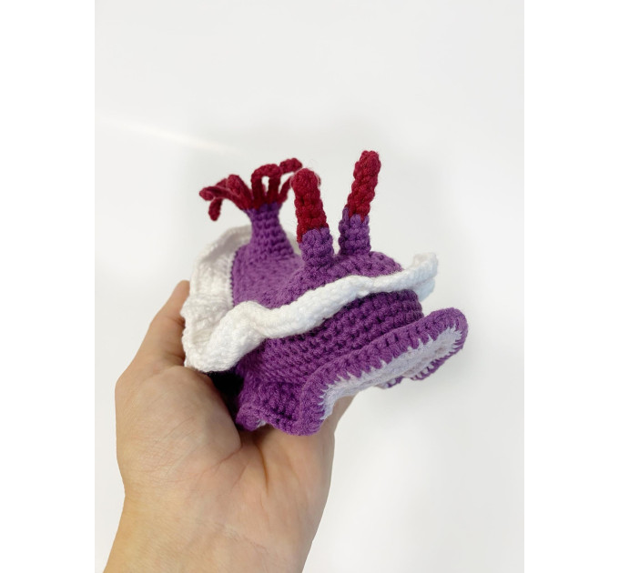 Purple sea slug