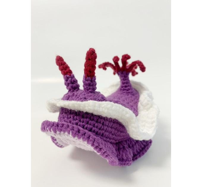 Purple sea slug