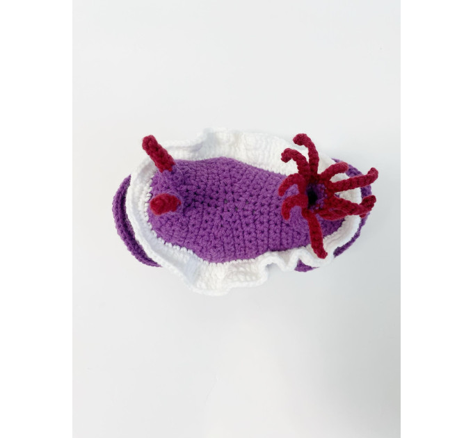 Purple sea slug
