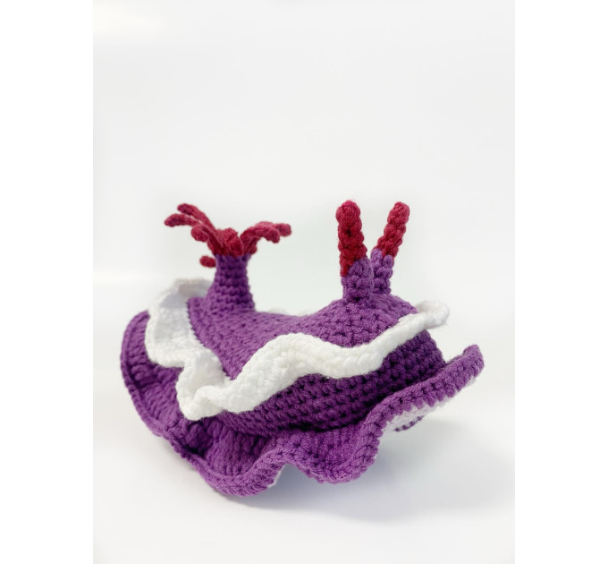 Purple sea slug