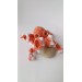 Small stuffed octopus orange