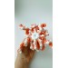 Small stuffed octopus orange