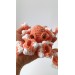 Small stuffed octopus orange