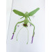 Handmade Giant Crochet Praying Mantis Plush