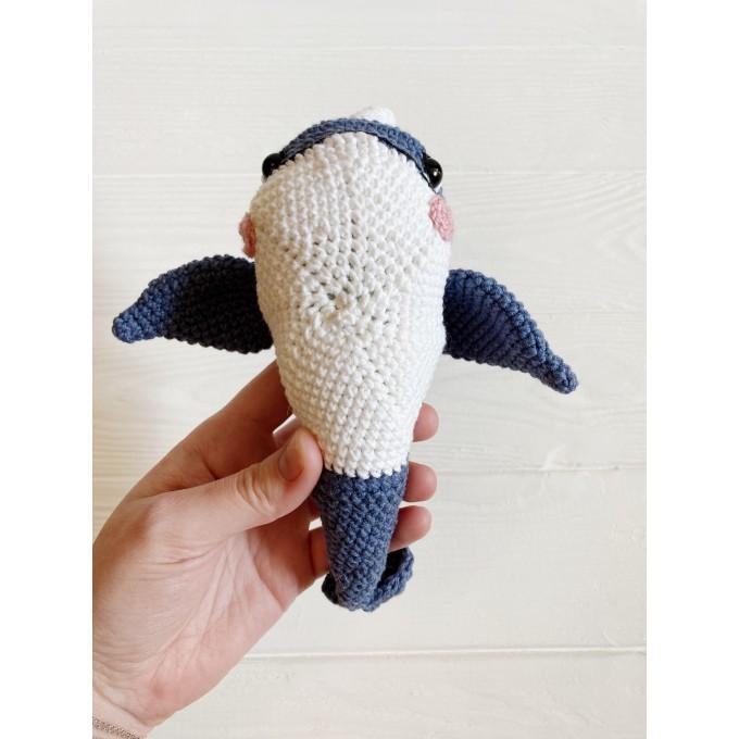 narwhal belly
