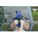 octopus hat blue green