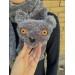 Grey cat scarf
